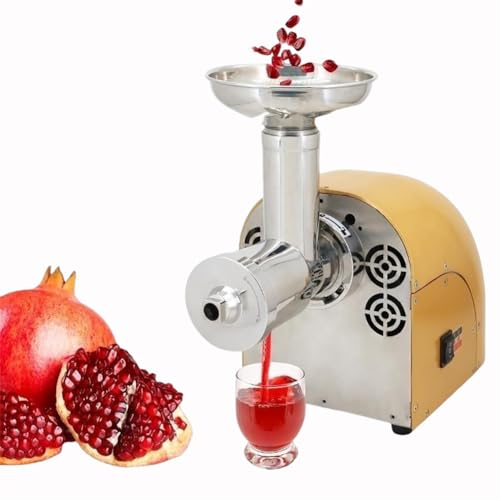 CRBUDY Estrattore di Succo Commerciale, Spremiagrumi a Masticazione Lenta da 250 W, Macchina per Succo Centrifuga in Acciaio Inossidabile con Funzione Inversa, Spremiagrumi Elettrico per