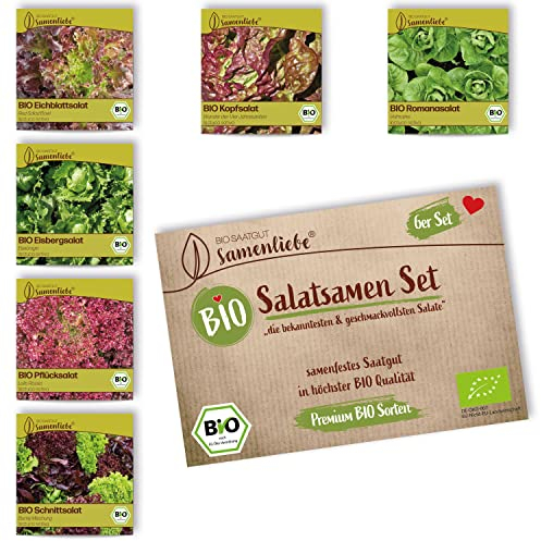 BIO Salat Samen Set: 6 Sorten samenfeste BIO Gemüse Samen mit Schnittsalat Samen - Eisbergsalat Samen - BIO Gemüsesamen Saatgut Set als nachhaltiges Geschenk von Samenliebe