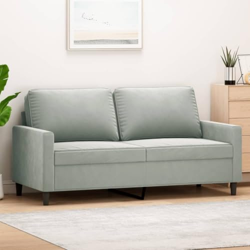 Emmtore Sofa 2-Sitzer, Loungesofa Couch mit Armlehnen Rückenkissen, Wohnzimmersofa Designsofa mit Metallgestell, Sitzmöbel Zweisitzer Samt,Hellgrau,140 cm