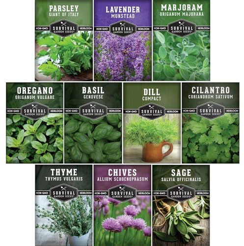 Herb Seeds Variety Pack | 10 Culinary Herbs for Planting – Basil, Cilantro, Lavender, Dill, Parsley, Oregano, Thyme, Sage, Chives, Marjoram – Indoor Kitchen Herb Kit – Survival Garden Seeds