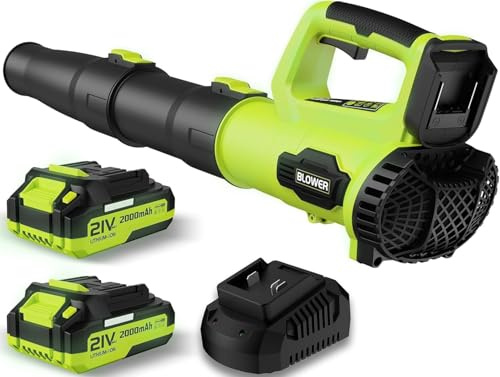 LEAPUL Leaf Blower Cordless, 21V Electric Leaf Blower with 2×2.0Ah Batteries & 1 Fast Charger, Lightweight Battery Powered Blower for Lawn Care, Patio Cleaning, Light Green