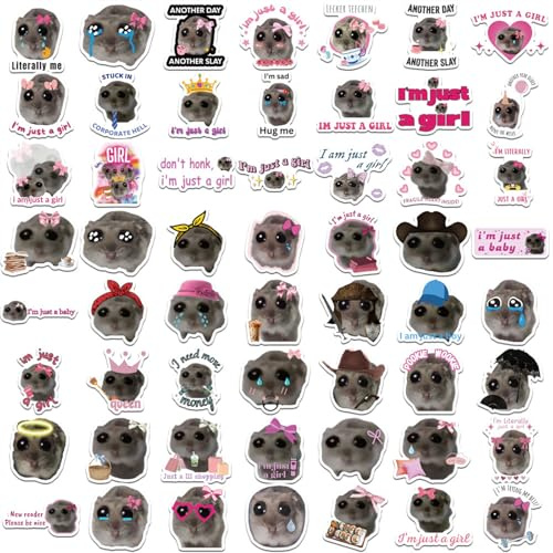 Pocoiau Memes Aufkleber Pack Von 56 Stickers Scrapbook Stationery Decal Für Teenager Skateboardaufkleber Laptop Tablet