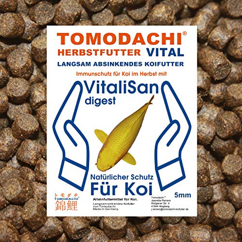 Koifutter Herbstfutter Sinkfutter Koi Gesundheitsfutter Monoglyceride antibakteriell Futterverwertung Verdauung Immunsystem hochverdaulich 5mm 5kg