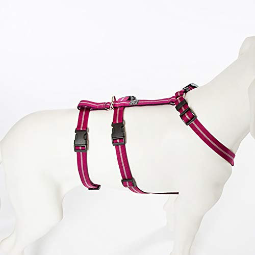 A. Hoffmann GmbH No Exit ausbruchsicheres Hundegeschirr für Angsthund, Sicherheitsgeschirr für Pflegehund, Panikgeschirr, Pflaume Streifen, Bauchumfang 55-75 cm, 20 mm Bandbreite