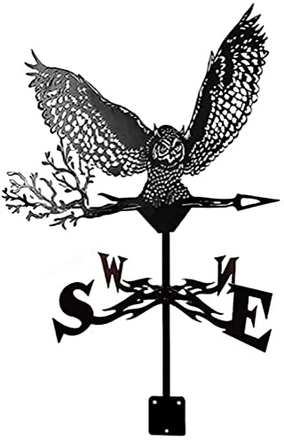 Metall-Wetterfahne, Hohle Wetterfahne, Windrichtungsanzeiger, verwendet für Dach, Outdoor, Garten, Koppel, Dekoration, Wetterfahne mit Adler-Ornament