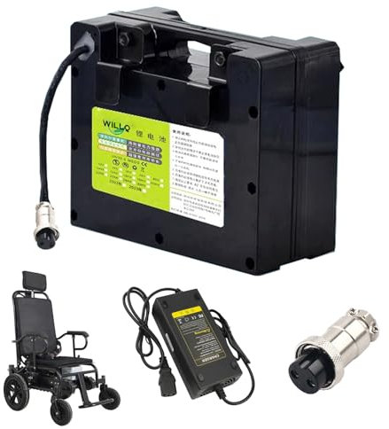 WILLQ Batería Silla Ruedas Plegable 24V 6Ah 8Ah 10Ah 12Ah 18Ah 20Ah 30Ah 35Ah 40Ah 45Ah batería de Litio Recargable para Motor de 100 W a 1000 W con Cargador,24v,30AH