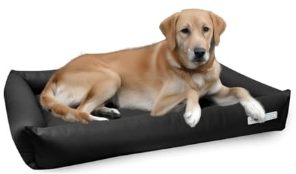 dogsfavorite, Hundebett Starter aus Kunstleder, Hundekissen, Pflegeleicht, 120 x 90 cm, schwarz