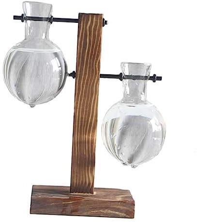 VANZACK 1satz Hydroponische Vase Mit Holzstand Kreatives Design Für Blumen Und Pflanzen Für Wohnzimmer Küche Und Büro Transparentes Glas Eleganter Look Zur Luftreinigung Und