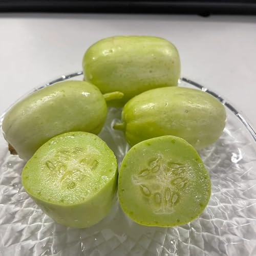 gurken, cucumber salatgurke, seltene gurke gurkensamen zimmerpflanzen, gemüsesamen balkon gartenkräuter, exotische zimmerpflanzen 150samen