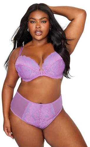 Yours Curve Lilac Lace High Waisted Full Briefs - Women's - Plus Size Curve