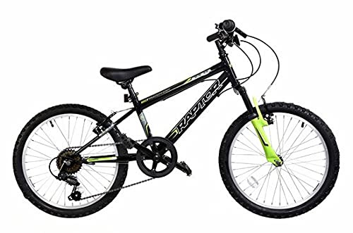 Basis Raptor Junior Hardtail Mountain Bike, 20 Wheel - Gloss Black/Green