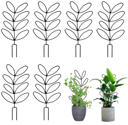 6 pezzi di supporto per piante rampicanti, piante da appartamento, traliccio per fiori e piante Monstera Hoya Giardino
