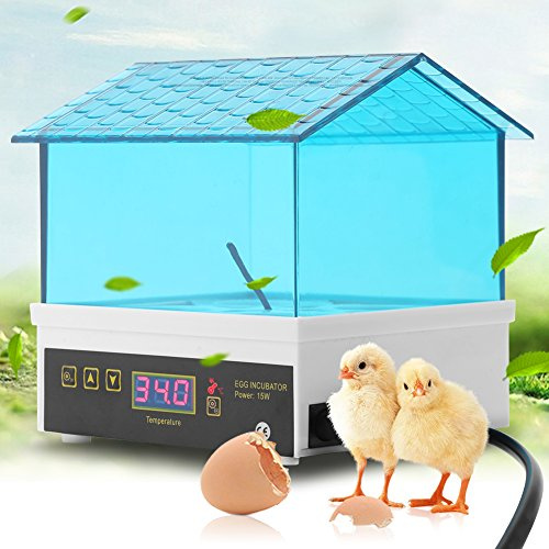 Wakects Incubateur 4 d'Oeufs Mini Incubateur D'oeufs Automatique Numérique avec Contrôle de la Température, Couveuse Oeuf Automatique Numérique pour Recherche Scientifique Ou Domestique Transparent