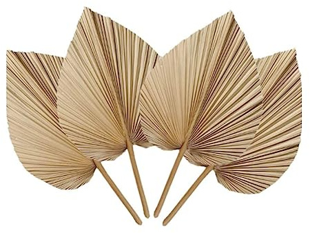 Ujjdwiurgh 6 hojas de palma secas tropicales naturales, hojas de palma, hojas de palma secas, decoración de hojas de palma recortadas bohemias para bodas, decoración de pared y dormitorio