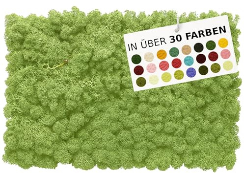 NaDeco Island-Moos 500g, echtes Moos in 30 Farben zur Wahl, fluffig & prall, Basteln Wand Deko Moss, für Moosbild Mooswand Moosplatten Kugelmoos Dekoration Ostern Weihnachten, Farbe:Medium Grün