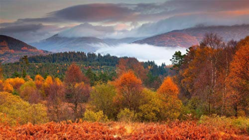 PANDABOOM Loch Lomond And The Trossachs National Park, Scotland, Puzzle 1000 Pieces Jigsaw Puzzles for Adults and Child (75 x 50 cm)