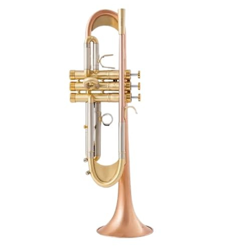 Trompete TR600GS B-Trompete Plus Schwere Phosphorbronze Gebürstet Versilbert Professionelle Leistung(B)