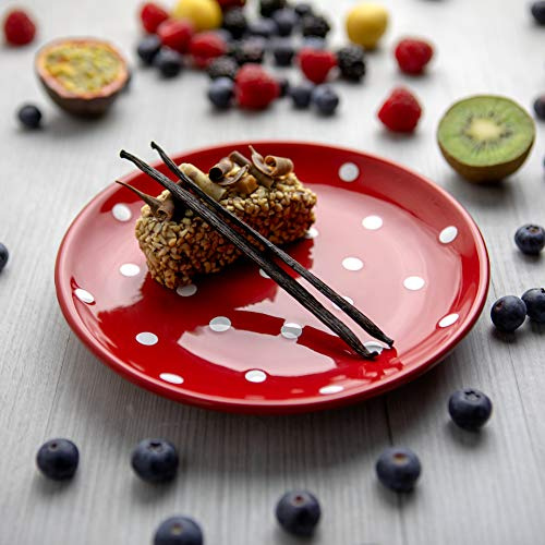 City to Cottage® Red and White Pottery | Polka Dot Spotty | Handmade Hand Painted | Glazed Ceramic 7.9inch/20cm | Side Dessert Plate | Unique Dinnerware
