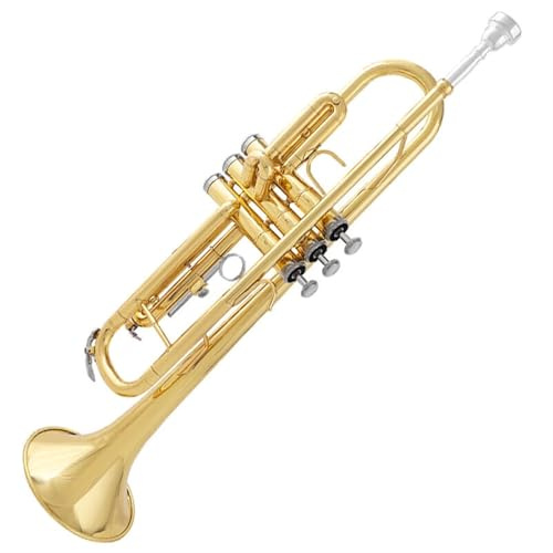 Trompete Instrument B Einsteiger Blasinstrument Blechblasinstrument Standard Trompete