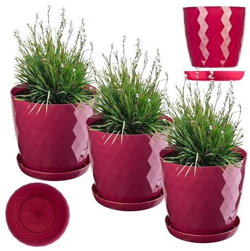 KADAX Maceta, juego de macetas de plástico con plato, maceta de material ligero, maceta decorativa para hierbas, maceta para flores, plantas, cactus y suculentas (juego de 3-30 cm, amaranto)