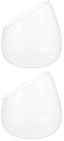 QUMIIRITY Vaso Taglio Obliquo Per Piante Grasse in Vetro Trasparente, Ciotola Decorativa Per Terrario e Candelabro, Set 2 Pezzi Adatto Per Piccoli Spazi e Centrotavola