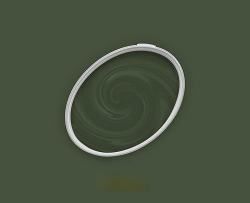 BRICOFLOR Dunkelgrüne Wandfarbe matt für Wohnzimmer und Schlafzimmer Innen Farbe seidenmatt in 2,5 und 5 l sehr gut deckend