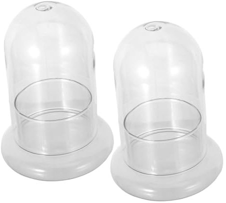 VANZACK Glas Terrarium Flasche 2 Stück Mit 8mm Loch Für Selbstgemacht Mikrolandschaften Und Schreibtisch Dekor