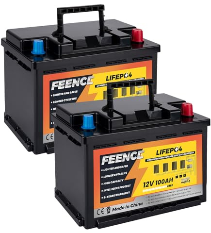 Lot de 2 batteries au lithium LiFePO4 12 V 100 Ah - Mini taille - Hauteur : 18,8 cm - 100 A BMS - Batterie de voiture - Jusqu'à 15 000 cycles - Mini taille - Pour caravanes, camping-cars, bateaux