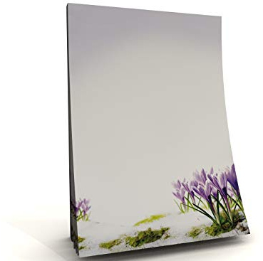 Notepads DIN A5 Set of 2 with Crocus Motif - 50 Sheets, 90 g/m² Paper, Printed on One Side, Notepad & Letter Pad for Office and Everyday Use