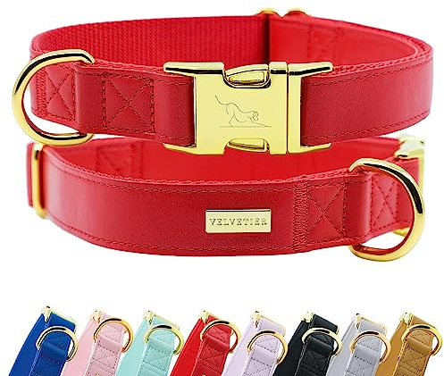 VELVETIER Hundehalsband Milano (Rot), veganes Leder, M/L 39-59 cm | Für mittlere und große Hunde, goldene Schnalle, veganes Leder, Boxer, Dalmatiner