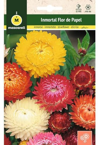 Mascarell Semillas, INMORTAL FLOR DE PAPEL, Semillas Flores Exterior para Decoración, 1 Gramos