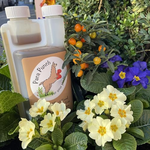 Alpaca Organic Liquid Plant Fertiliser (Eco-Friendly) for Tree Ferns and Other Plants, 500ml (makes up to 50 litres)