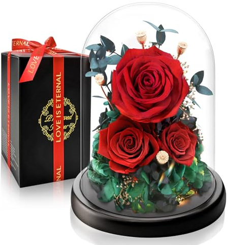 Touloube Rosa Eterna Preservada en Cúpula de Cristal con Luz LED | Regalo de Día de la Madre para Mamá, Regalo Mujer para San Valentín, Aniversario, Novia, Esposa y Abuela | Flores Que Duran Años