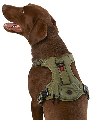 Kong Ultra Durable Kotbeutelgeschirr (Medium, Grün)