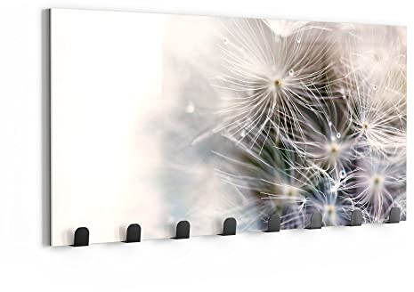DEQORI Wandgarderobe Glas & Metall | Motiv Detailaufnahme Pusteblume | 60x30 cm | Design Haken-Leiste modern | Garderoben-Paneel für Flur, Wohnzimmer & Schlafzimmer | magnetisch & beschreibbar