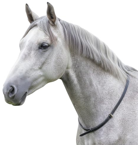 Hunters Saddlery Leder-Halsriemen fürs Pferd – Verstellbarer Halsring als Balancehilfe & Sicherheitsriemen für Reiter – Reithilfe für einen sicheren Sitz, Pony, Cob/Full