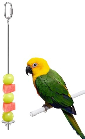 Brochette à fruits pour oiseaux | Porte-brochettes de fruits en acier inoxydable pour perruches | Pour cage, ara, cacatoès, perico, perruche, perruche, perruche, inséparable, canari et animaux
