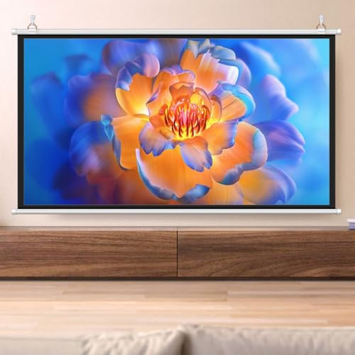 GSKDZG Pantalla De Cine En Casa 40 50 60 Pulgadas, Pantalla De Proyección Enrollable Manual HD Pantalla De Proyector En Pared para Interior Exterior, Sin Arrugas(40 Inch 16:9)