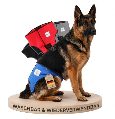 NATURE PET Premium Läufigkeitshose für Hündinnen – Hochwertige & Bequeme Hundewindeln für Hündinnen & Rüden – Waschbare Inkontinenz-Hundewindel ohne Einfädeln der Rute – L/Blau