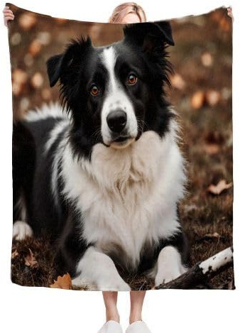 ZZXHG Coperta Pile Singolo 130x150 Border Collie Nero, Coperta Plaid di Peluche Flanella Letto Singolo, Doppio Strato Coperta Termica in Microfibra per Plaid Divano Copriletto_h110