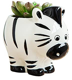 DIYOMR Cute Animal Ceramics Planter Small Succulent Pot Cartoon Shaped Plant Pot for Mini Plants Flower Cactus, Smooth Shiny Ceramic - Plants Not Included (Zebra)