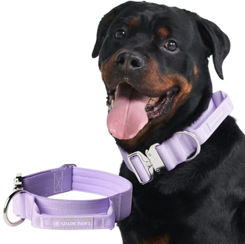 Spark Paws Taktisches Hundehalsband – strapazierfähig, Premium-Qualität, dick und langlebig für große und mittelgroße Hunde – Lila – M - 5.cm
