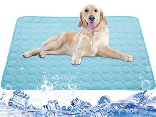 hundebett, kühlmatte hund ohne gel, hund, hundebett grosse hunde, fresk kühlmatte, mat for dogs, hunde kühlbett selbstkühlend, kühldeckr, badeschuhe, hundedecke kühlend, hundekühlmatte testsieger