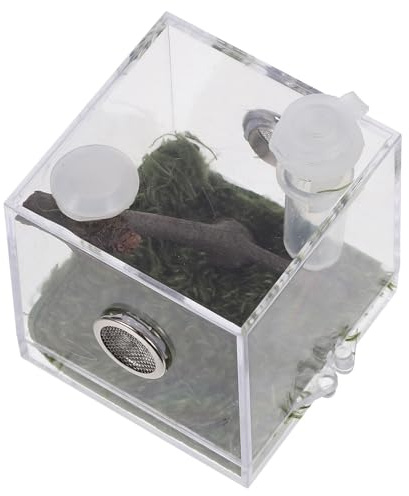 PRETYZOOM Wolfsspinne Terrarium aus Acryl mit Transparentem Design Leichter Reptilienbrutkasten für Zucht und Beobachtung Kompakte Sprungbox für Kleine Reptilien und Insekten
