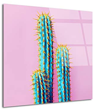 DECLINA Tableau Plexiglas Cactus Rose - Impression Verre Acrylique Style Vintage - Décoration Murale pour déco Maison, Cuisine, Salon, Chambre, Bureau - 30x30 cm