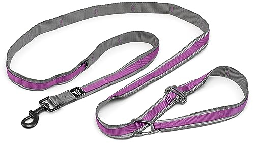 Kurgo Laisse Mains Libres Quantum 6 en 1 pour Chien, Ceinture/Laisse de Course, Marche ou randonnée, Réglable, Réfléchissante, Violet