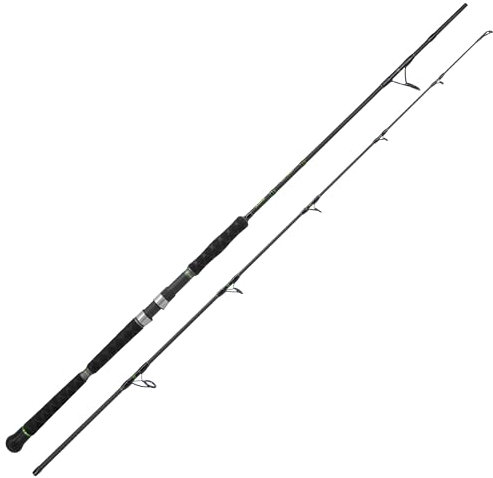 CATIX® Spin Cat 240 - Wels Spinnrute 2.40m, 50-180g - IM12 Kohlefaser, Fuji Rollenhalter, Anti-Winding-Design