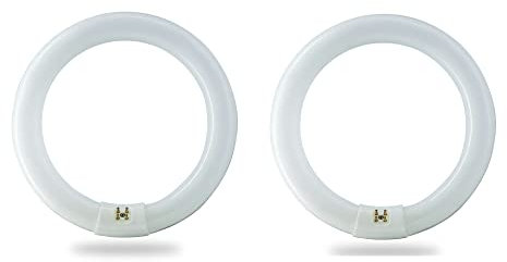 BULBMASTER FC8T9/CW 22 Watt 8 Inch Round T9 Fluorescent Circular Light Bulb, Cool White 4100K, 1120 Lumens G10Q 4-Pin Base 22W Circline Ceiling Lights 2 Pack