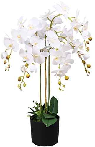 Mokuyary Artificial Orchid Plant with White Pot 75 cm Artificial Plastic Tree for Home Bedroom Office Balcony Garden Decoration