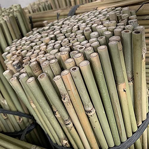 2FT-3FT-4FT-5FT-6FT Bamboo Garden Canes/Stake/Pole Garden Plant Flower Support Sticks Outdoor/Indoor Natural Strong Plants Support (15, 5ft - 150cm (12-14mm))